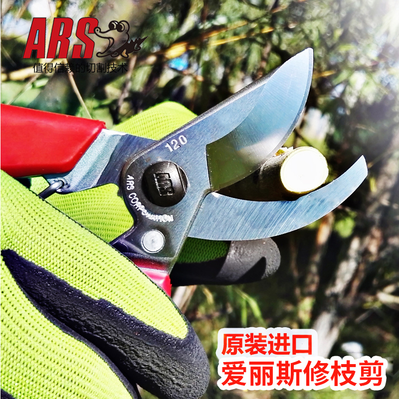 日本进口 爱丽斯ARS-修枝剪 120DX 120DX*1支