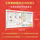 苹果全年种植技术要点导视图 1套