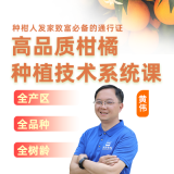 高品质柑橘种植管理方案 1*1套*1套