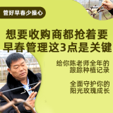 阳光玫瑰早春管理宝典 1*1套*1套