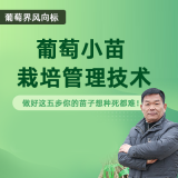 葡萄小苗栽培技术详解 1*1套*1套