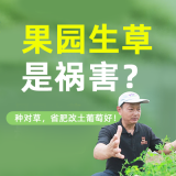 葡萄土壤改良秘籍 1*1套*1套