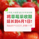 草莓采收期延长技术宝典 1*1套*1套