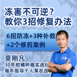 柑橘冻害防治技术宝典 1*1套*1套