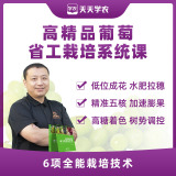 【天天学农】高精品葡萄省工栽培系统课 1*1套*1套