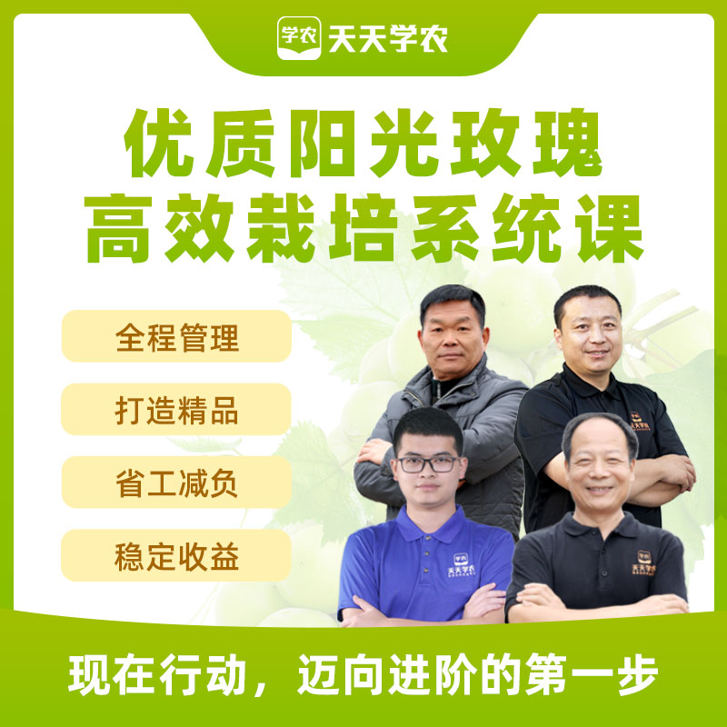 【天天学农】优质阳光玫瑰高效栽培系统课 1*1套*1套