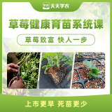 【天天学农】草莓健康育苗系统课 1*1套*1套