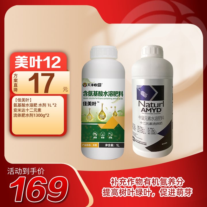 美叶12 1套