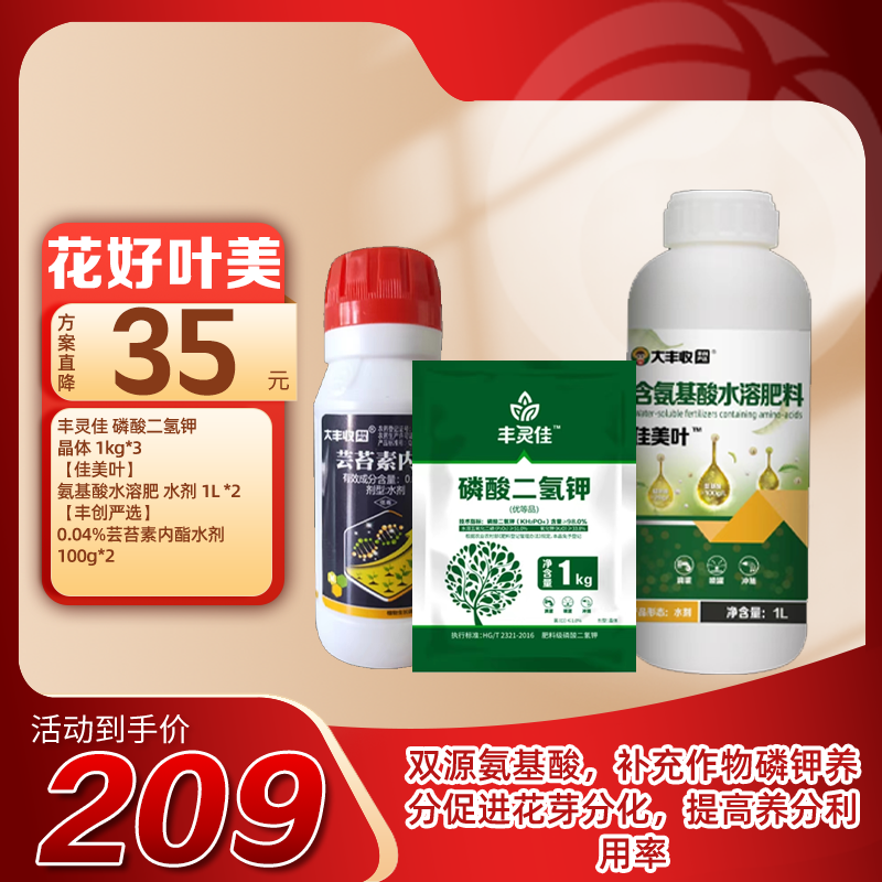 花好叶美 1套