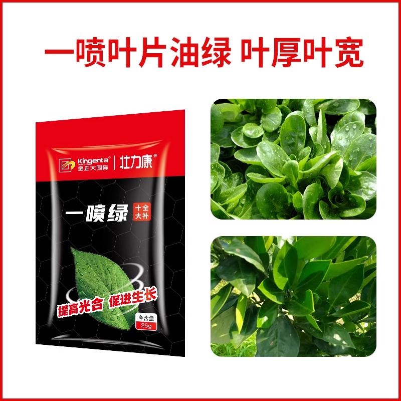 壮力康十全大补一喷绿26-8-16大量元素水溶肥粉剂25g 25g*1袋