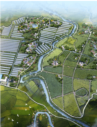 深圳市“承接‘现代农业智能感知技术与产品’之‘多尺度农田信息获取与融合技术’的产业化
                            应用研究”项目