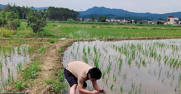 托管前