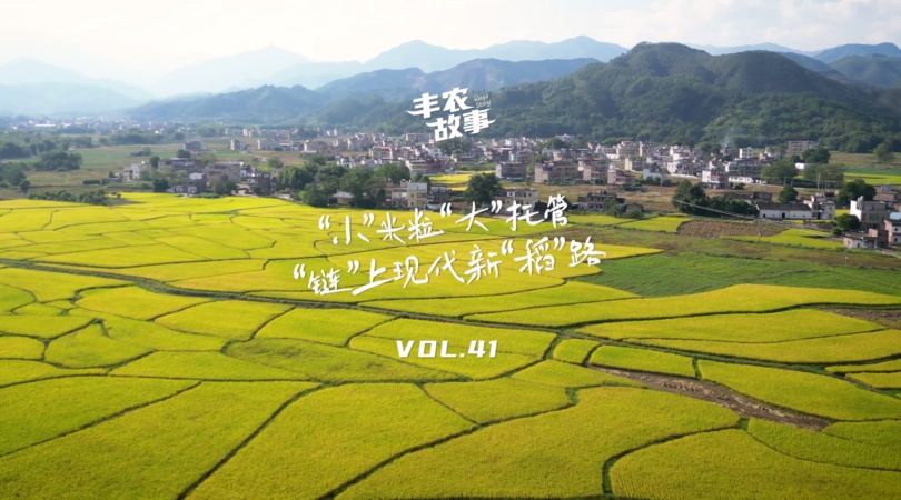 PP电子集团官网故事VOL.41 “幼”米粒“大”托管，“链”上现代新“稻”路