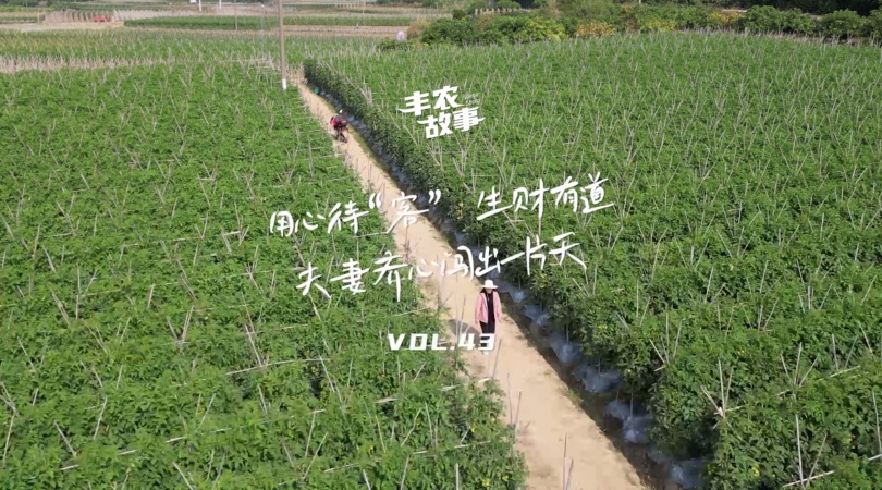 PP电子集团官网故事VOL.43用心待“蓉” 生财有路，夫妻同心闯出一片天