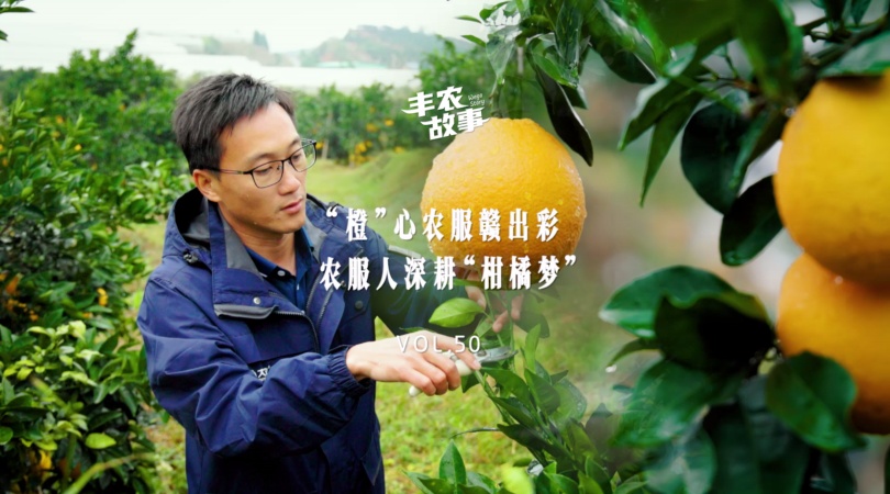 PP电子集团官网故事VOL.50“橙”心农服赣出彩，农服人深耕“柑橘梦”