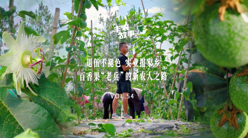 CA88故事VOL.54 退伍不褪色 实业报家乡百香果“老兵”的新农人之路