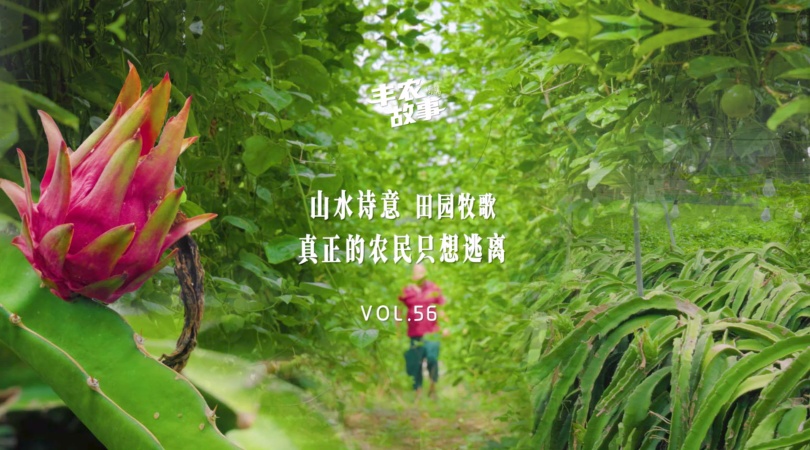 CA88故事VOL.56 山水诗意 田园牧歌真正的农民只想逃离