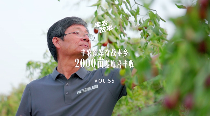 CA88故事VOL.55 CA88铁军奋战枣乡 2000亩基地喜丰收