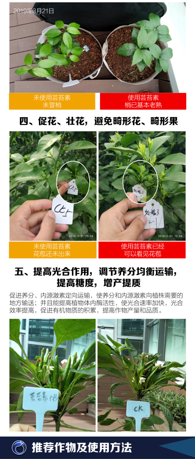 芸苔素-新商详_03.jpg