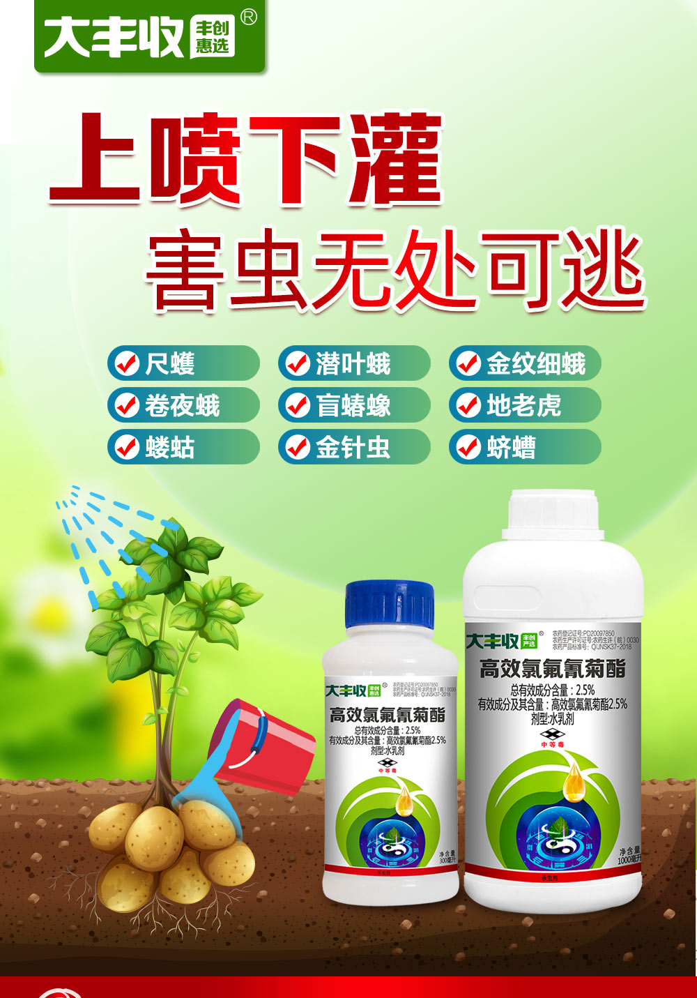 5% 高效氯氟氰菊酯 水乳剂