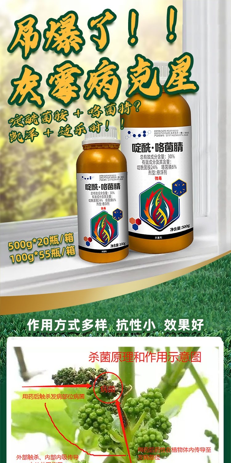 大丰收30啶酰咯菌腈悬浮剂500g