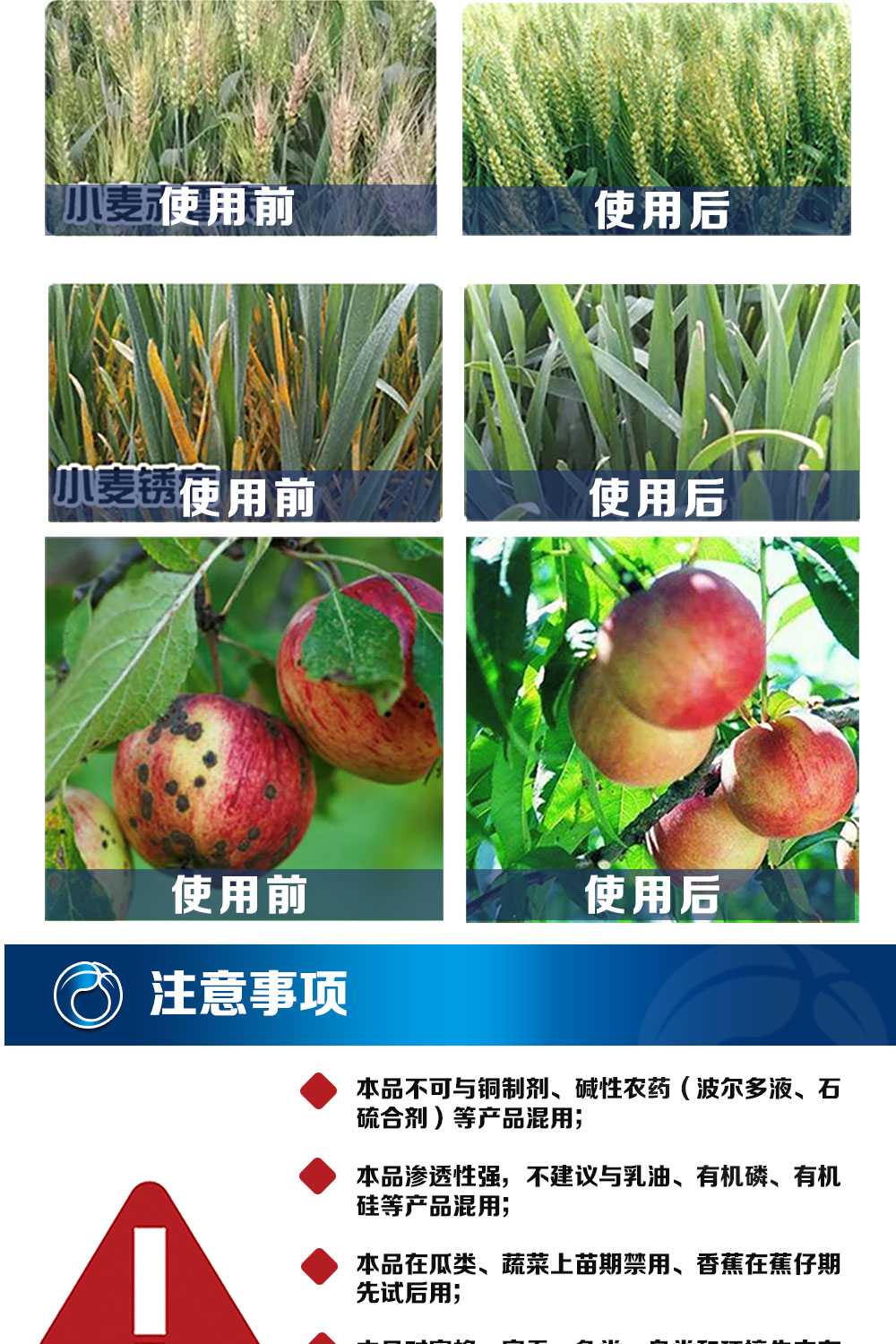 唑醚·氟环唑_07.jpg